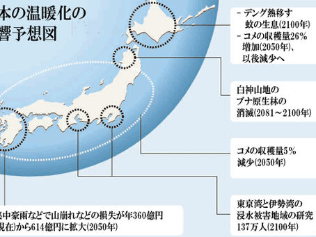 国道交通省レポート