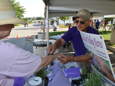 11th Annual Lavender Valley Festival Calling all local vendors!