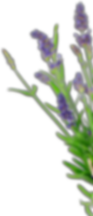 Lavender Valley Acres