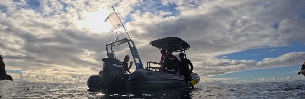 Guided-Boat-Dive-Page-Hero-Image.jpg