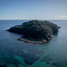 Goat-Island-Marine-Reserve-Page-Side-Images (Goat-Island).jpg