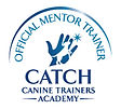 CATCH Official Mentor Trainer Seal.jpg