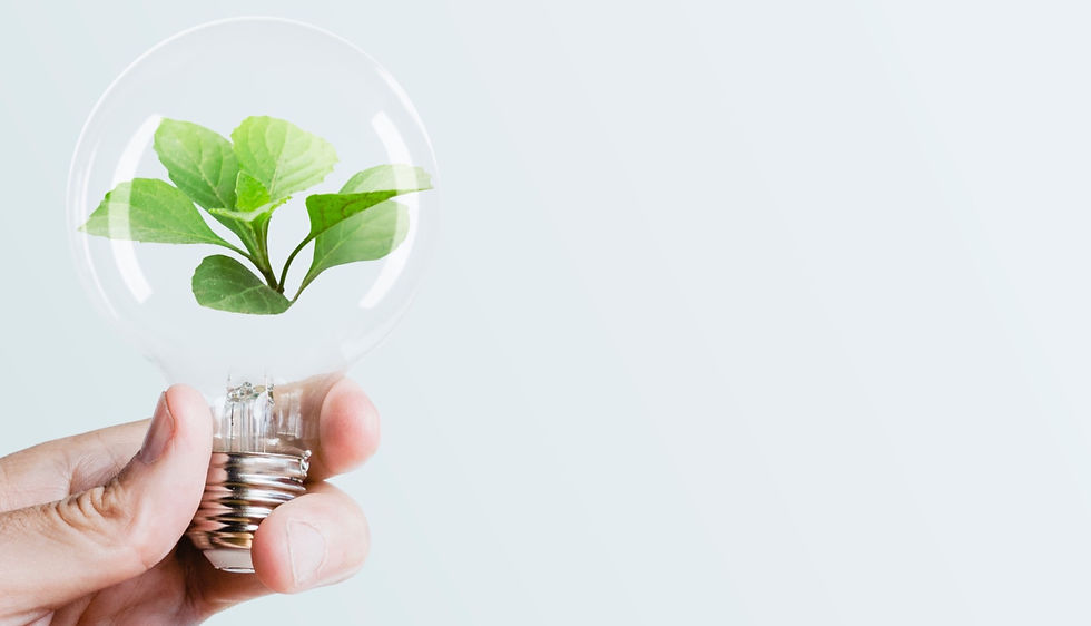 sustainable-energy-campaign-hand-holding-tree-light-bulb-media-remix_edited_edited.jpg
