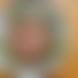 フレンチ&イタリアンレストラン、ときわまちかどクリニック敷地内にOPENへ!!