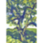 Magnolia Tree Giclée Print A5, A4, A3