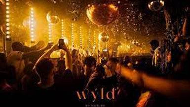 Grand Autumn Ball AFTERPARTY at WYLD (tickets needed)