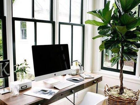 "Studying from home", by Courtney Celine Welham, Fashion & Design Council President   