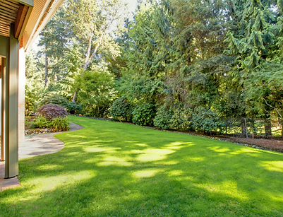 House Lawns.png