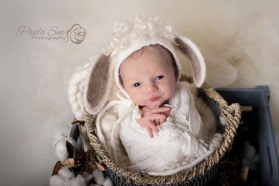 Thumbnail: Lamb Hat