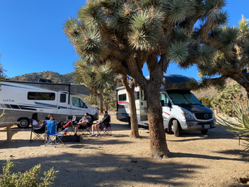 RVing in Joshua Tree National Park: A Beginner's Guide to Camping, Hiking, and Exploring the Desert