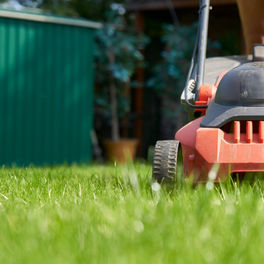 lawn mowing kalbar & scenic rim