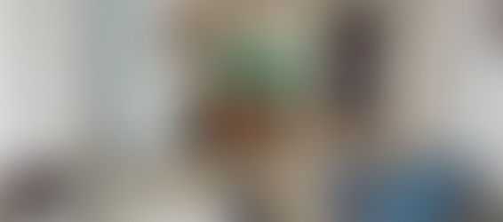 二郡全新裝潢One Verandah 2房河景公寓出租