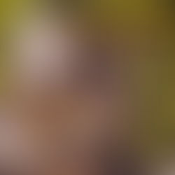 The Spirit of the Wilderness, The Watcher