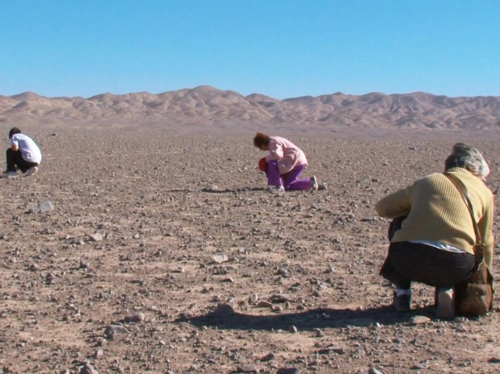 Não esquecer, para que nunca mais aconteça