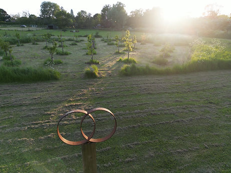 Sunset in the Henge