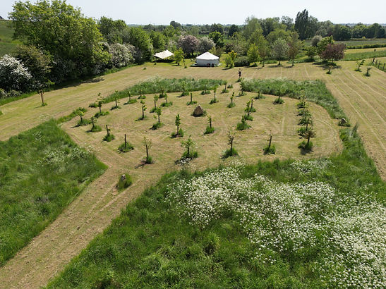 Aerial view of Field of Healing