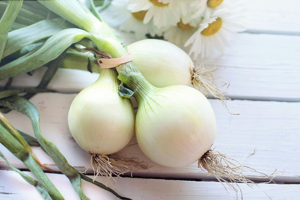 Three white onions with daisies