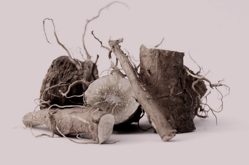 Does chicory make coffee stronger?