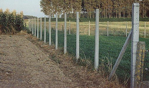 Weidepaal met Pantanetdraad