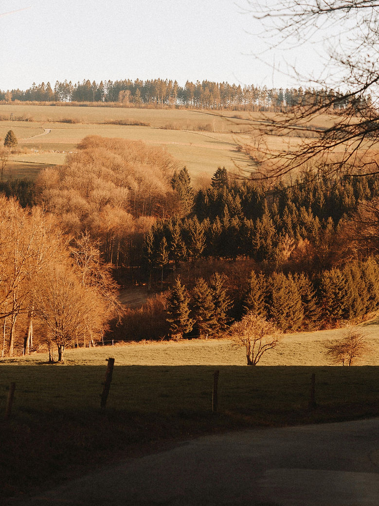 Immobilienmakler Remscheid mit Blick in ein Naturschutzgebiet