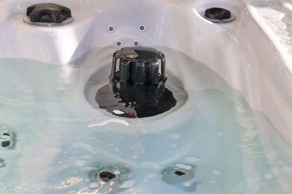 Miniatura: Jacuzzi Passion spa Euphoria 4-5 places personnes  prix promo Belgique wellis hotspring