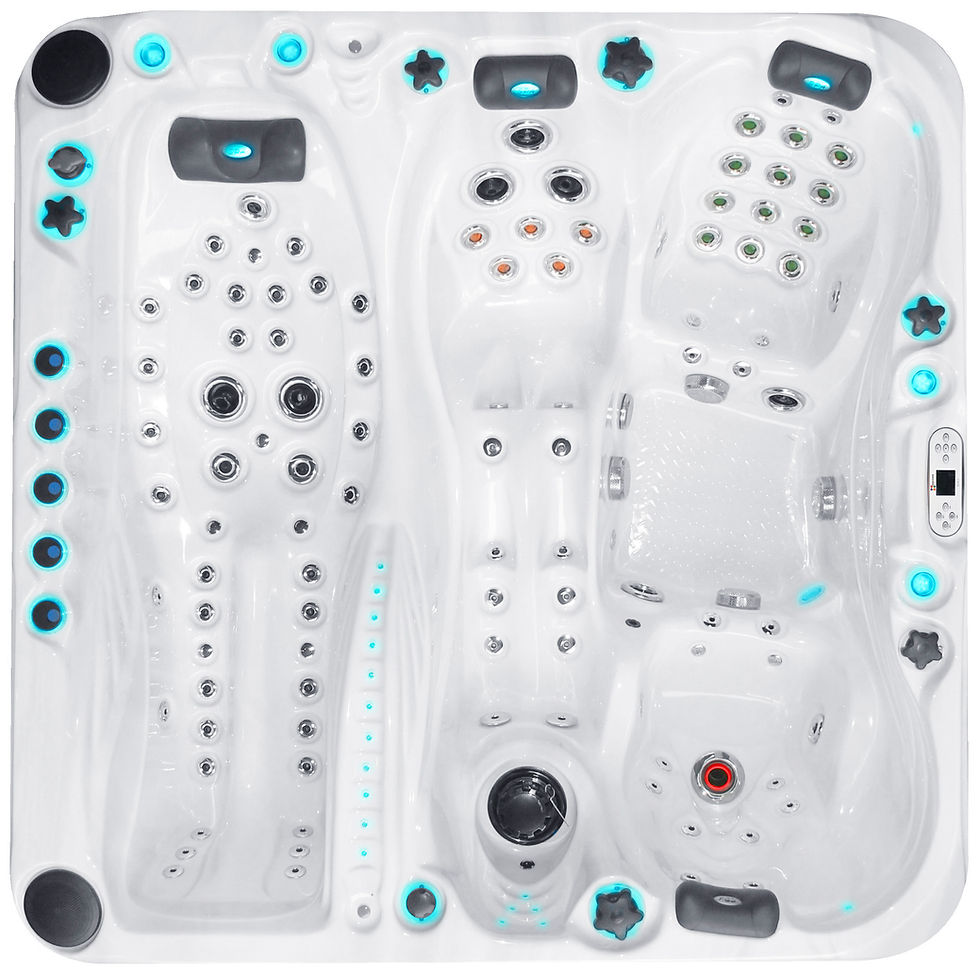 Jacuzzi Passion spa Euphoria 4-5 personnes places prix promo Belgique wellis hotspring