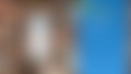 Effizient im Außendienst. Das sind die 5 wichtigsten Faktoren