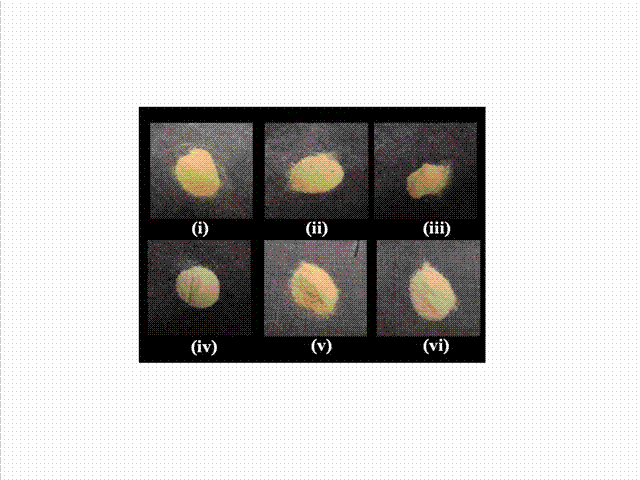 Photoluminescence