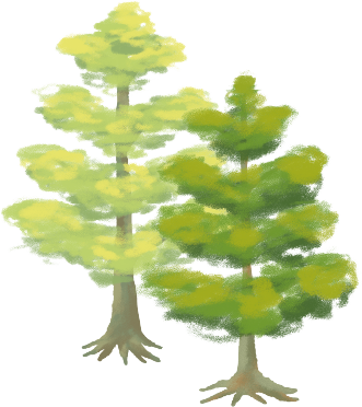 右樹三.png
