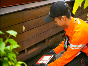 Mengenal Rodent Bait Station: Solusi Efektif Pengendalian Hama Tikus