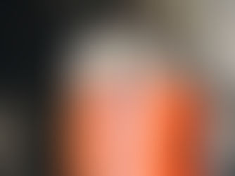 Cara Mencegah Semut dan Dampaknya Terhadap Lingkungan Rumah