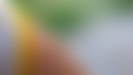 Waspada, Inilah Hama yang Sering Muncul Saat Musim Hujan!