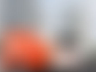 ecoCare Pest Control: New Era of Pest Termination!