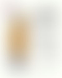 Análisis: Ningún orden social se destruye a sí mismo: La reacción de las ultraderechas