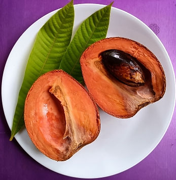pantin mamey sapote.jpg