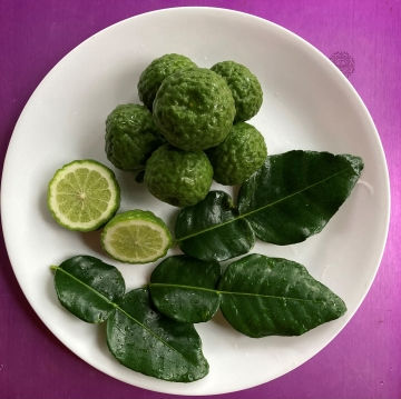 Kaffir lime.jpg
