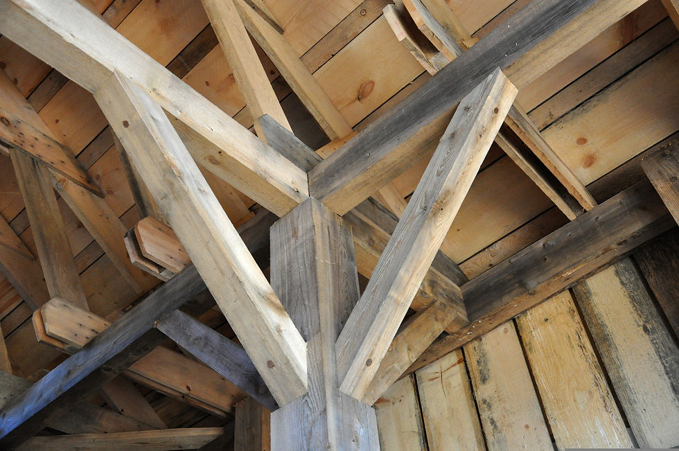 Les différents types de bois pour la construction