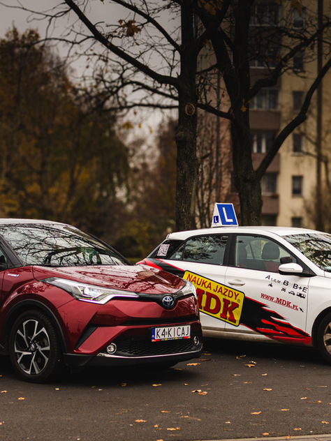 Ustawa Kamilkowa - Standardy ochrony małoletnich OSK