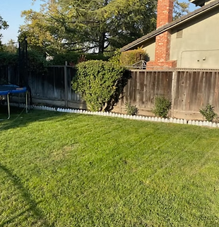 pleasanton california yard before garden renovation.png