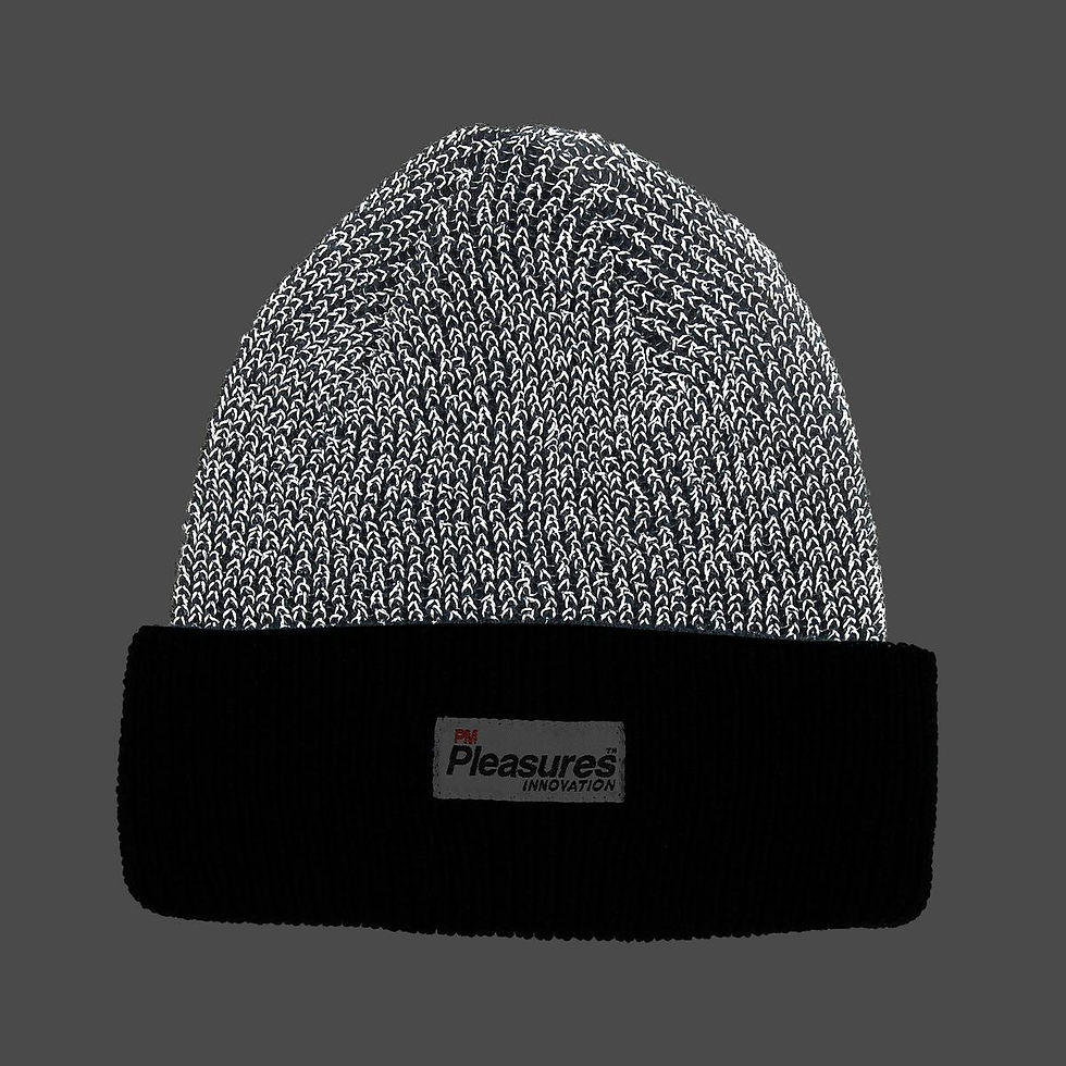 Pleasures Innovation Reflective Beanie