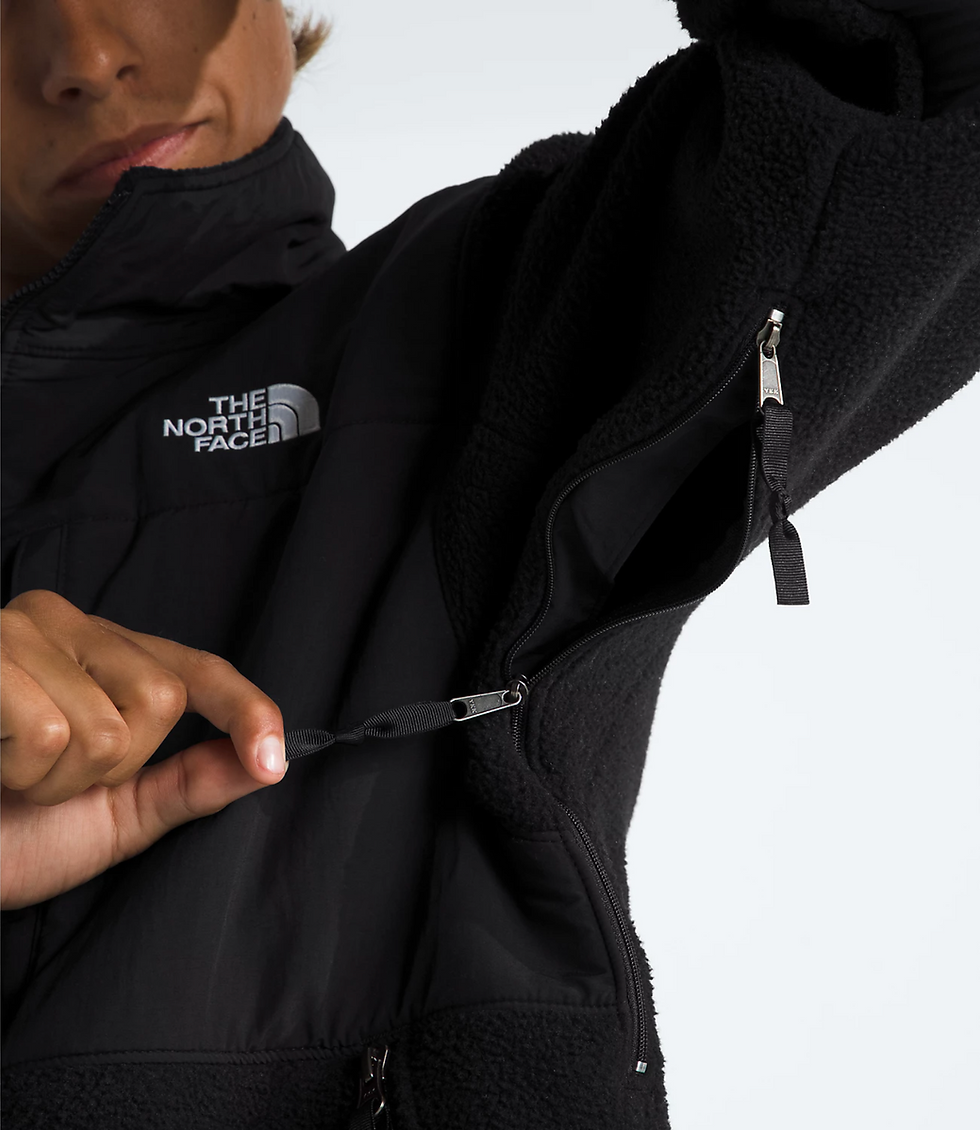 Thumbnail: THE NORTH FACE RETRO DENALI JACKET