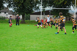 14344703_1376497725712525_4352095095705970196_n