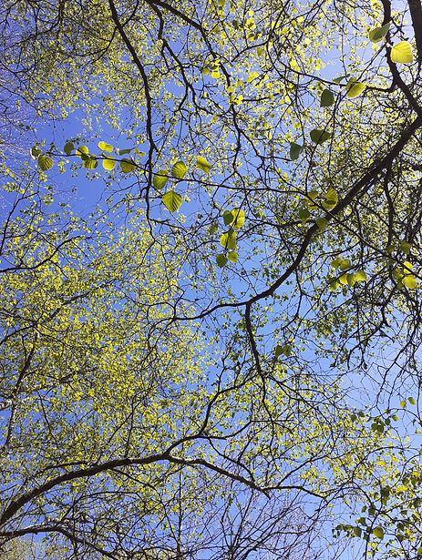 connection terre ciel