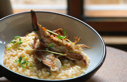 Photo Sep 26 2025, 10 53 16 AM