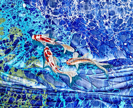 Ebru üzerine akrilik boya ile koi balıkları, Ebru Ayda Aktay Resimler Barış Gülen