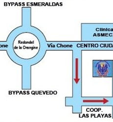 BLS idiomas
