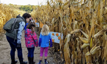 Creekbed Farmacy small maze