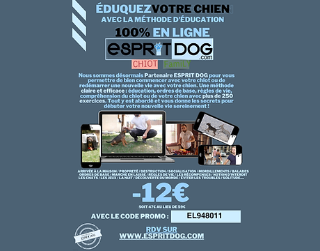 Nos partenaires 3.png