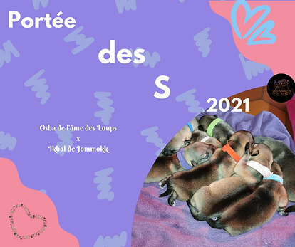 Portées des S visi.png