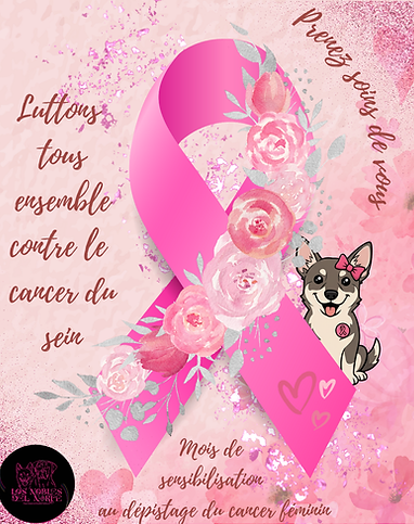 Octobre rose bis .png